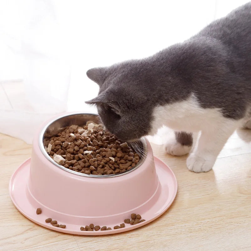 Cat Feeder Slope Anti-Ant