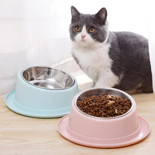 Cat Feeder Slope Anti-Ant
