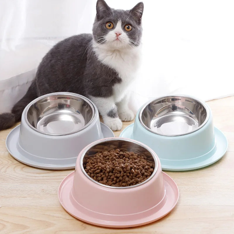 Cat Feeder Slope Anti-Ant