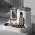 Cat Bowl Automatic Feeder