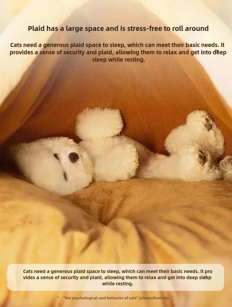 Cat House